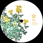 Magycops [AKU010] - Zendid