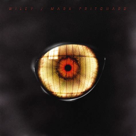 wiley & mark pritchard - scar / money man