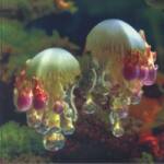 DJ NOBU & WATA IGARASHI / FLARE (ABUKU)